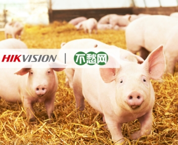 客戶案例丨AI助力智慧豬場，讓養殖者不再愁